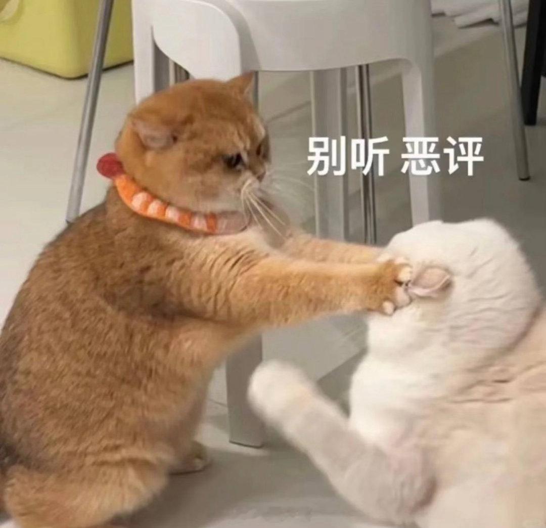 杨洋不认为自己老了 杨洋问杨洋老了是什么意思 哈哈哈哈哈笑不活了啊，杨洋哪里老了