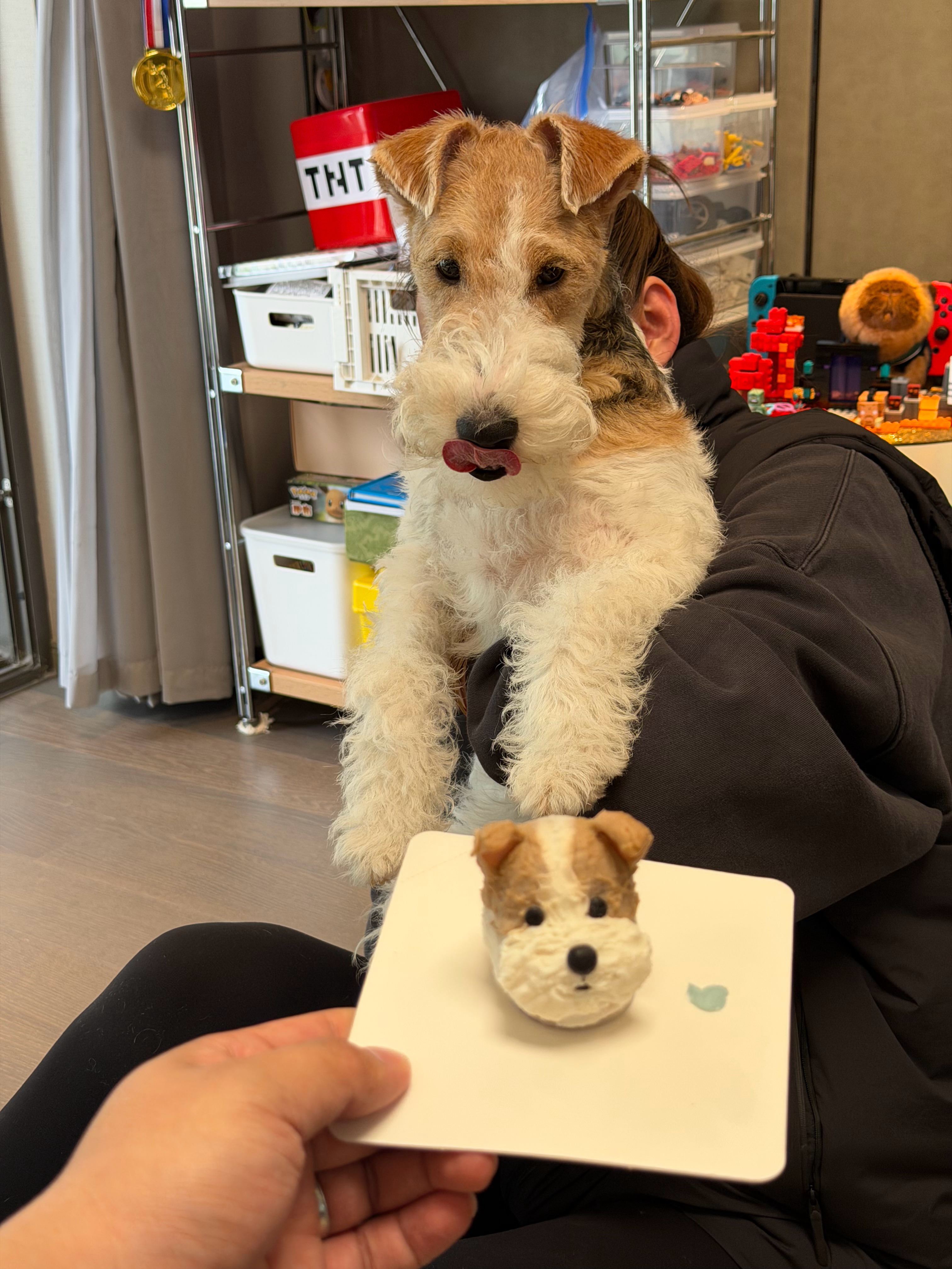 早上好啊，今天周三小周末啦 苏州