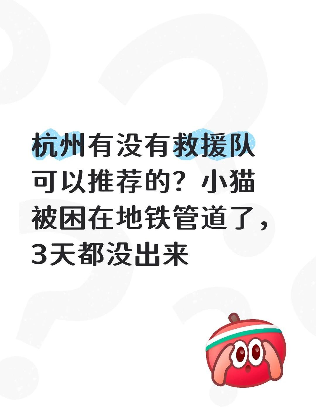 杭州有没有救援队可以推荐的？小猫被困在地铁管道了，3天都没出来