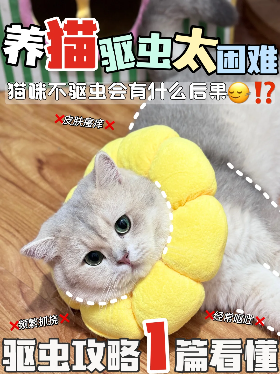 你家猫咪也有驱虫困难症嘛…好心塞