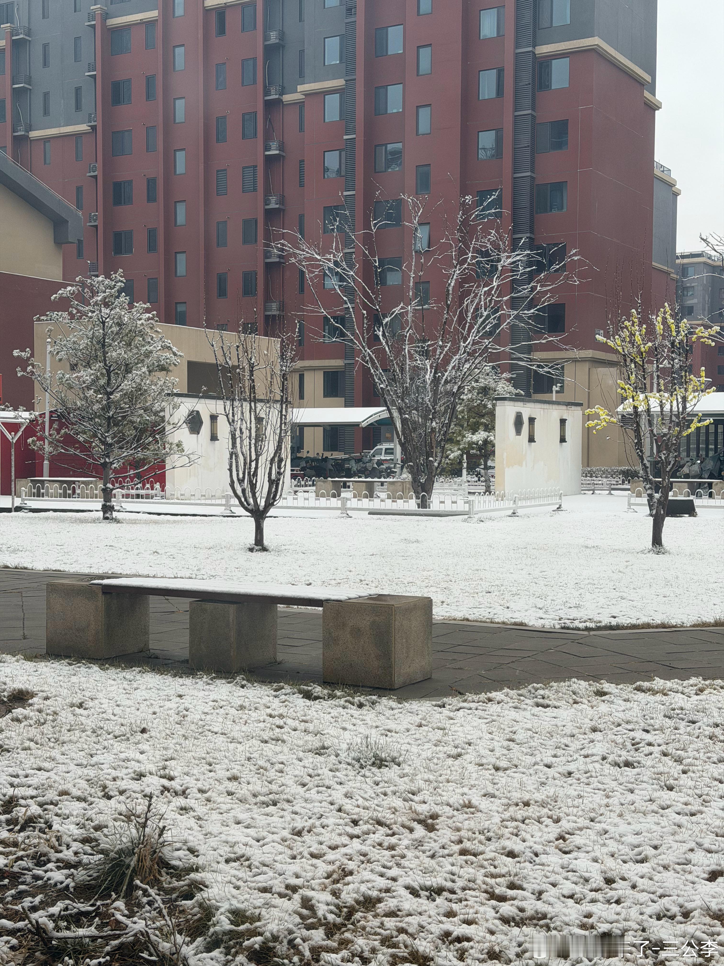 一觉醒来北京雪景上线一睁眼！下雪了！ 