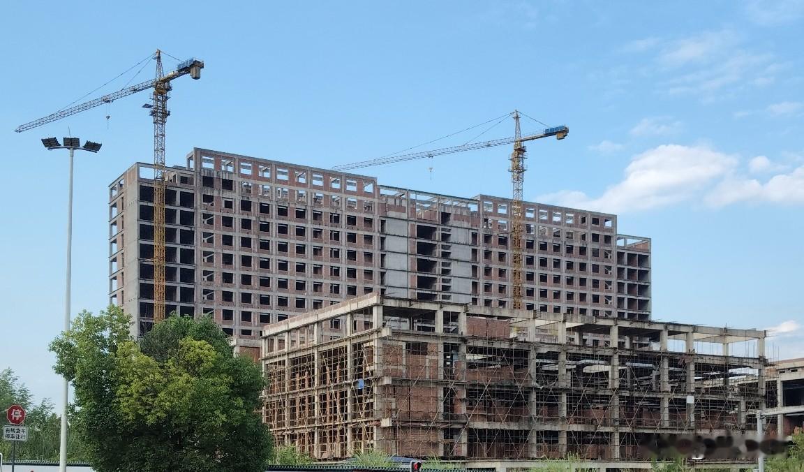 位于嘉陵区的川北院停摆多年，不知什么时候才能竣工交付使用。