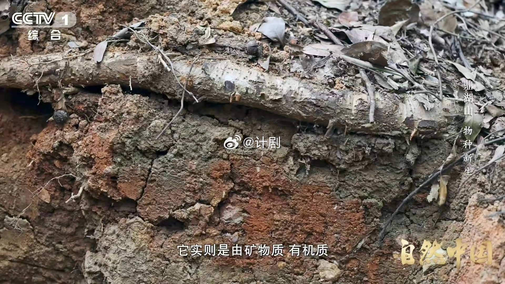 土壤的土腥味从何而来 在广东鼎湖山科考队员捧起黄壤闻到那股土腥味，原来这是土壤活