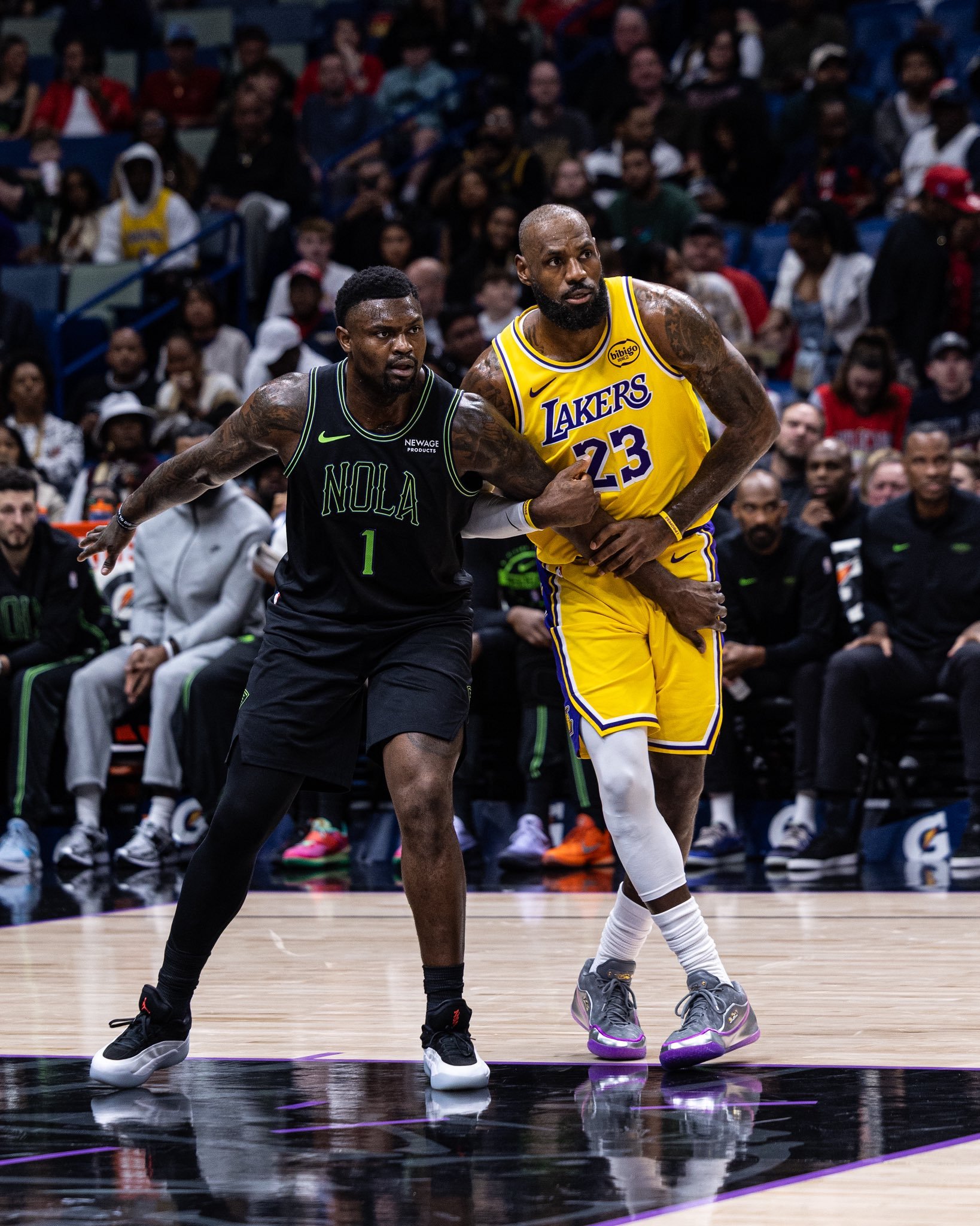 NBA Zion Williamson & LeBron James 