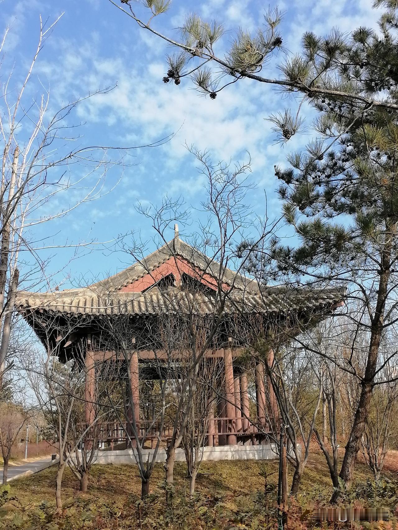 有的时候，在蓝天映照下的古建筑，比如寺庙，能给人以更大的想象力！

看看天空是否