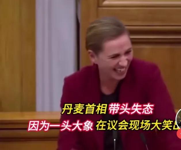 丹麦女首相在议会大厅公开笑场！2019年，女首相面对正襟危坐的下属，竟然笑了场，