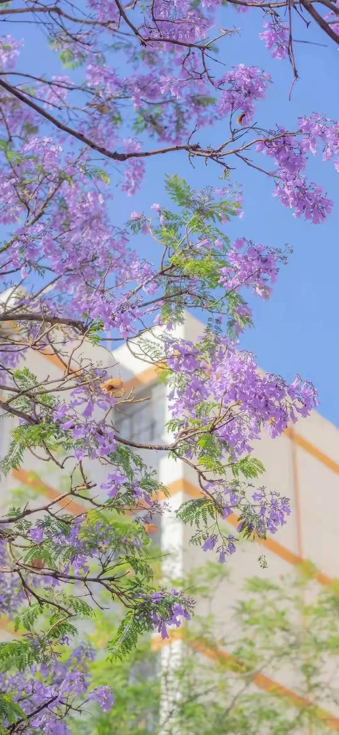 一位足浴小姐姐说，
“有的客人毫无底线，买个188的套餐就想在洗脚时揩点油，装着