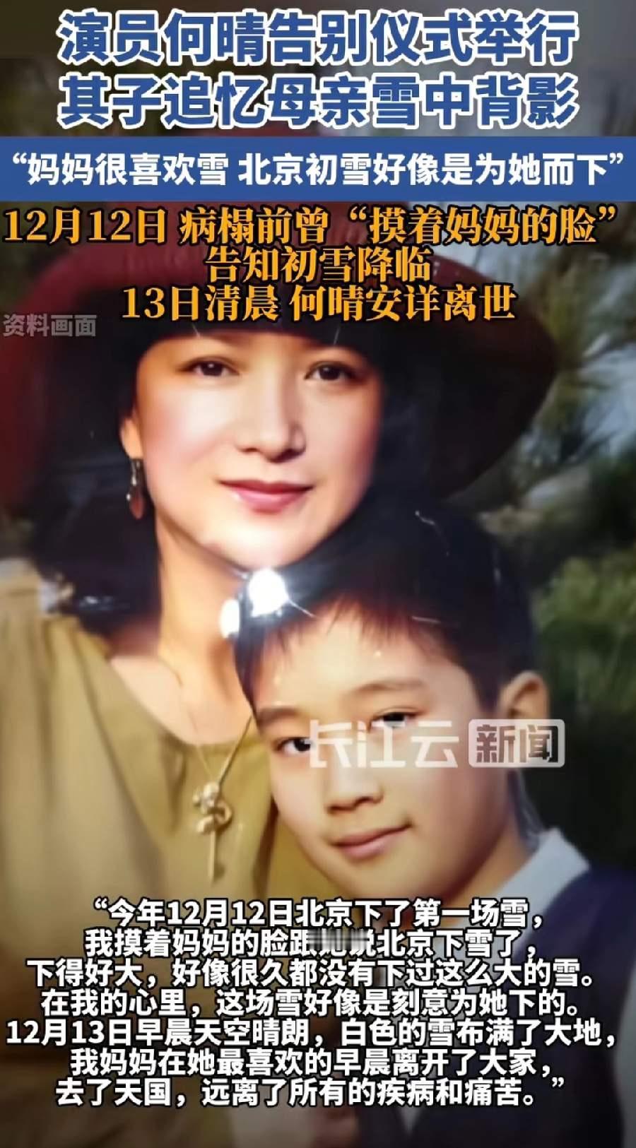 许亚军没来送何晴最后一程，只有他们唯一的儿子许何送她最后一程！

许何2001年