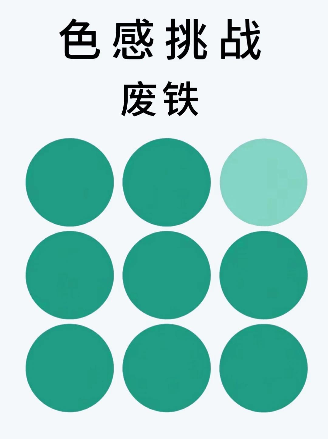 视觉敏感度挑战↓↓↓

每张图里都藏着异色小色块
眼力好的宝子快来找找看👀
