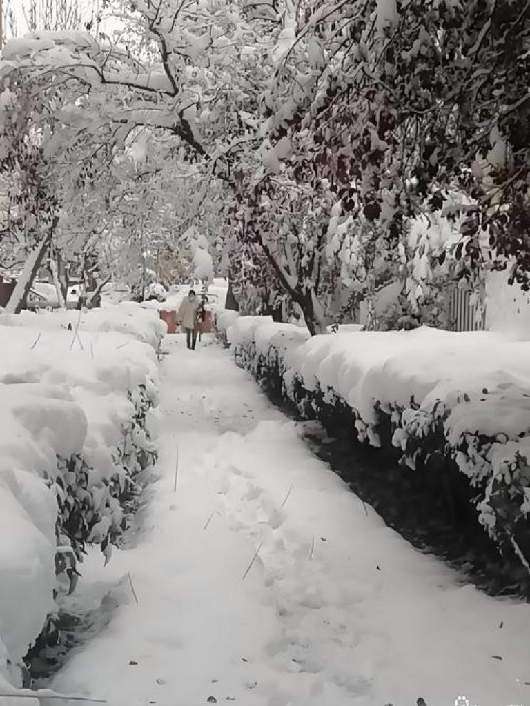 北京延庆、门头沟等区已飘起鹅毛大雪！纷纷扬扬的雪花，瞬间将世界装点成童话王国。你