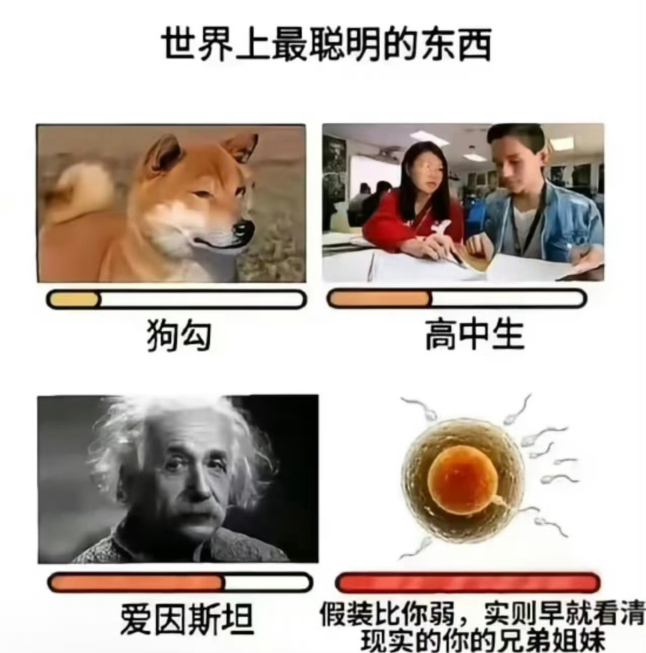 被做局了meme /memes