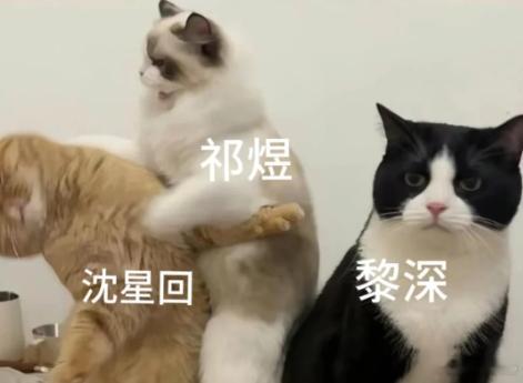 恋与深空|一句话证明自己推是哪位 我先来！咕噜噜噜噜[喵喵]#恋与深空##祁煜#
