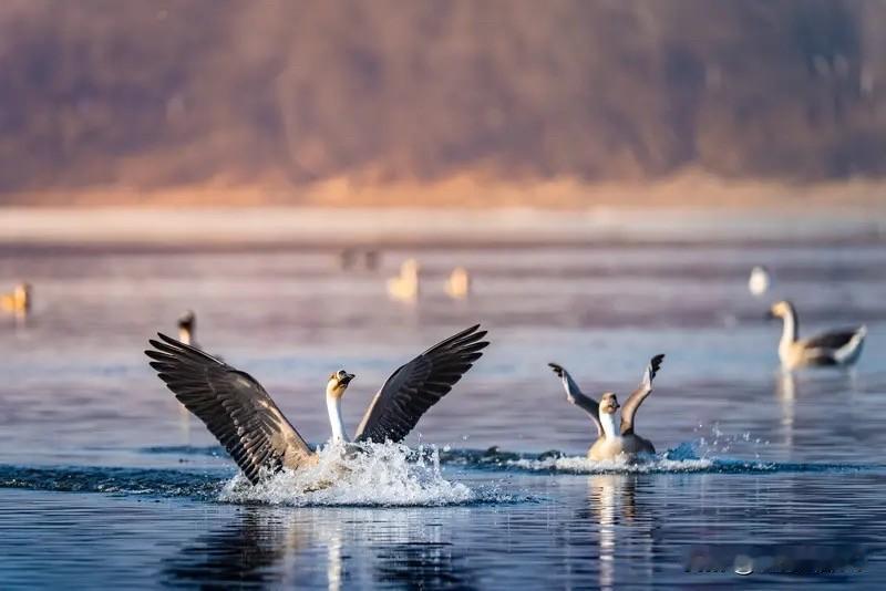 炼铁，炼钢是不是高污染高耗能企业改变装置，重设机构、AI智能已经颠覆了人的认知、