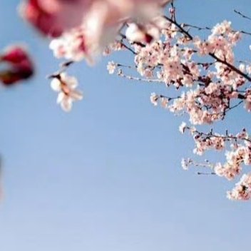 阳光信用 阳光信用每日一善 与人善，善报也许会迟到，但一定会来。心存善念，念念是