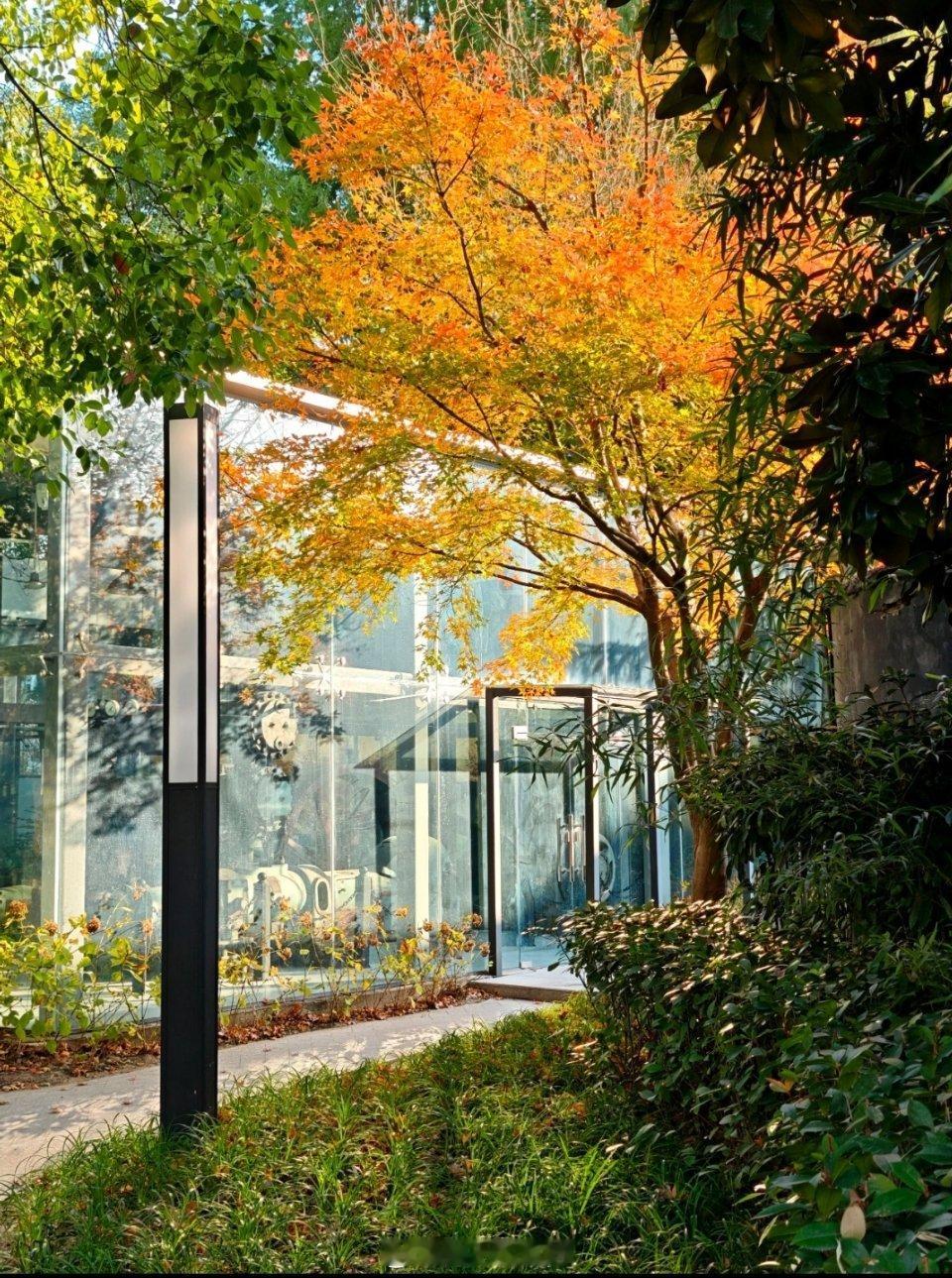 上海普陀区最大的公园—半马苏河！今天阳光实在是过于明媚了，宅家有点说不过去，于是