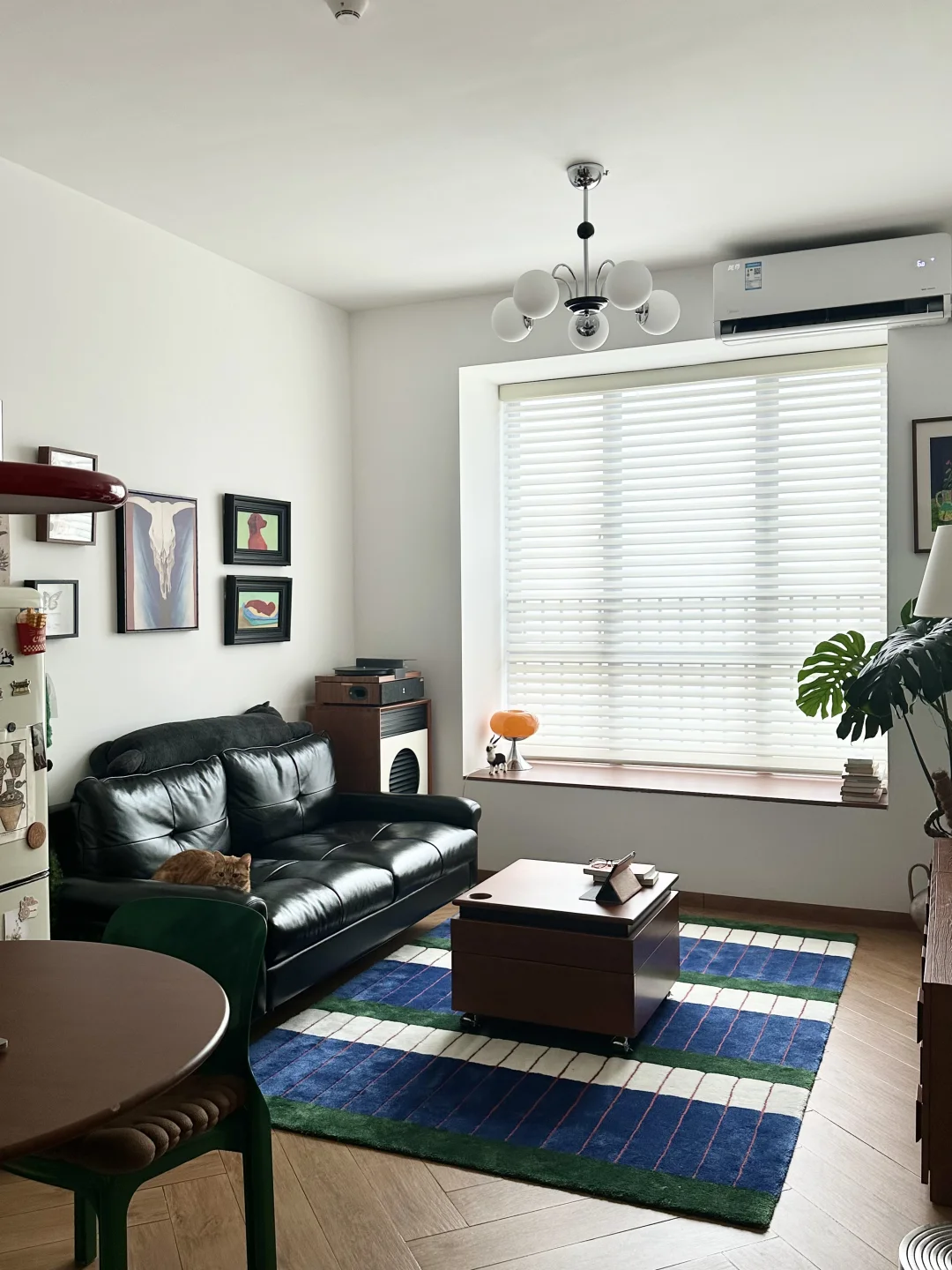 喜欢彩色，所以我的39平独居小屋长这样🐈