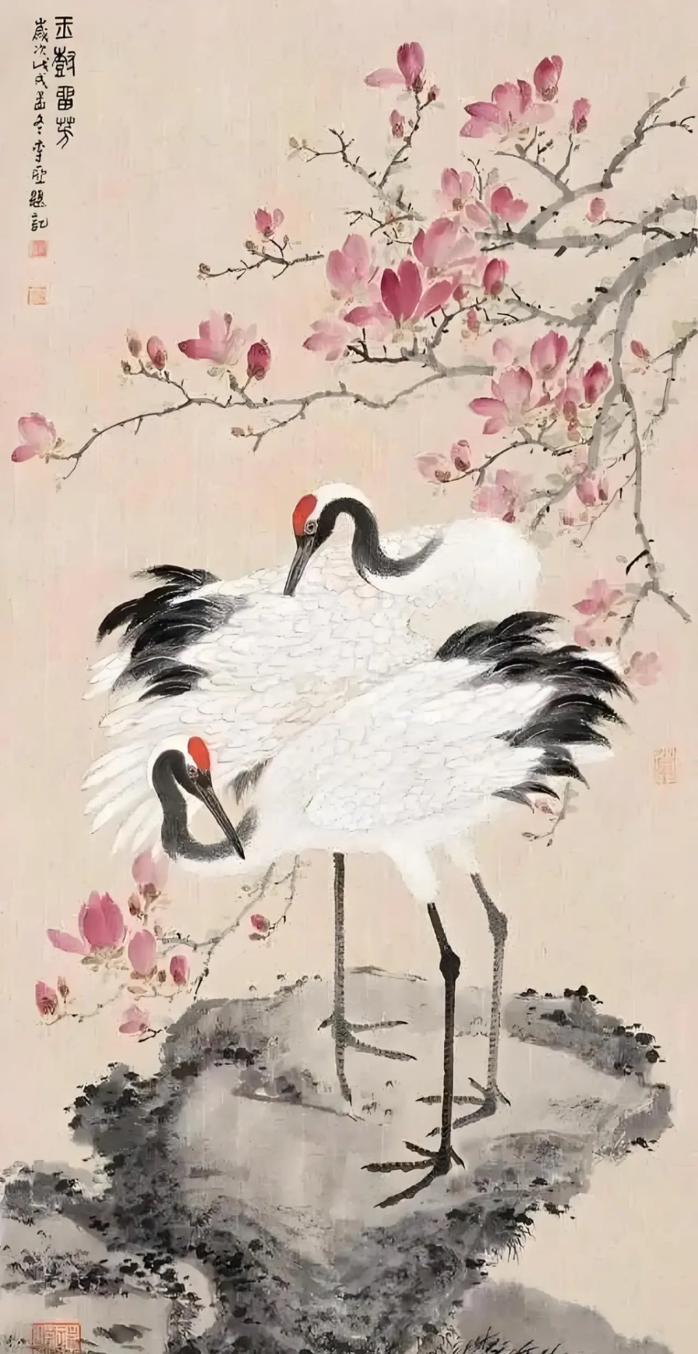 你福运也太盛了吧，竟然刷到了瑞鹤。一定要在 40 秒内点赞，然后用指尖轻触屏幕留