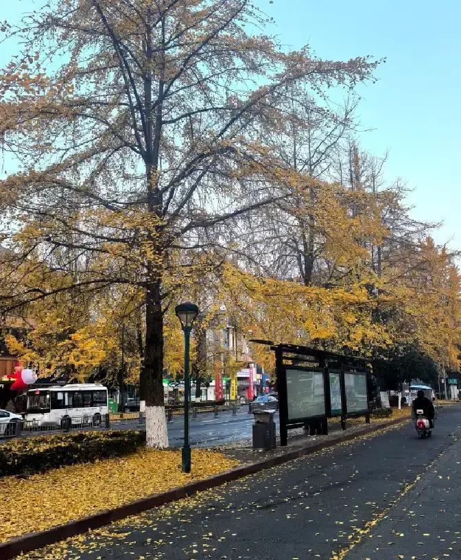 最近我改了个习惯，睡觉再也不反锁卧室门了
上周，我们单位一个领导，才46，人没了