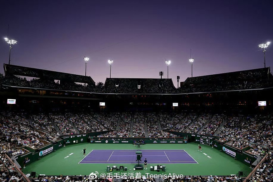 【印第安维尔斯大师赛男单八强对阵】【1】阿尔卡拉斯vs 诺里【27】【14】德雷