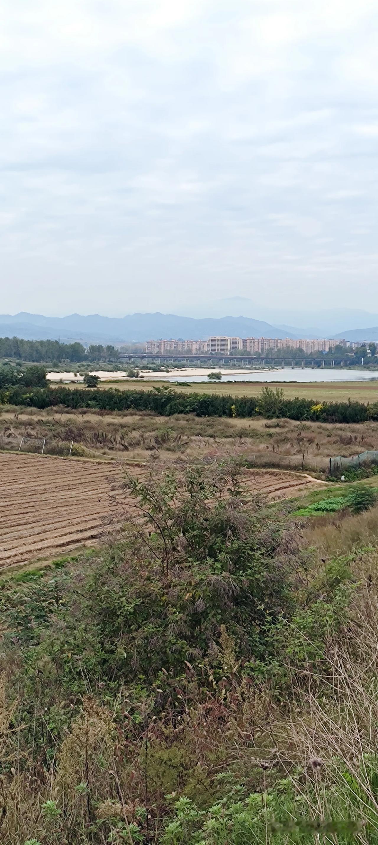 把你拍的汉江风景发出来欣赏欣赏作者加速成长计划《田园农忙》耕耘有收获近处田地绿油