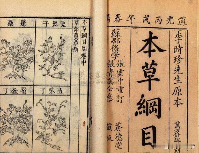 四百多年前，三十四岁的李时珍辞去太医院的铁饭碗，先后到武当山、庐山、茅山等地收集