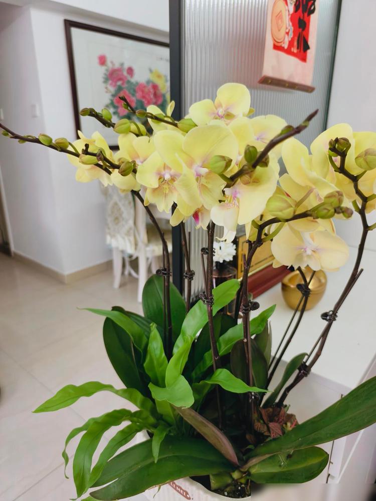 十年抗癌路，这场“生命马拉松”终于迎来曙光

小叔子做了一个大手术。得癌十年，从