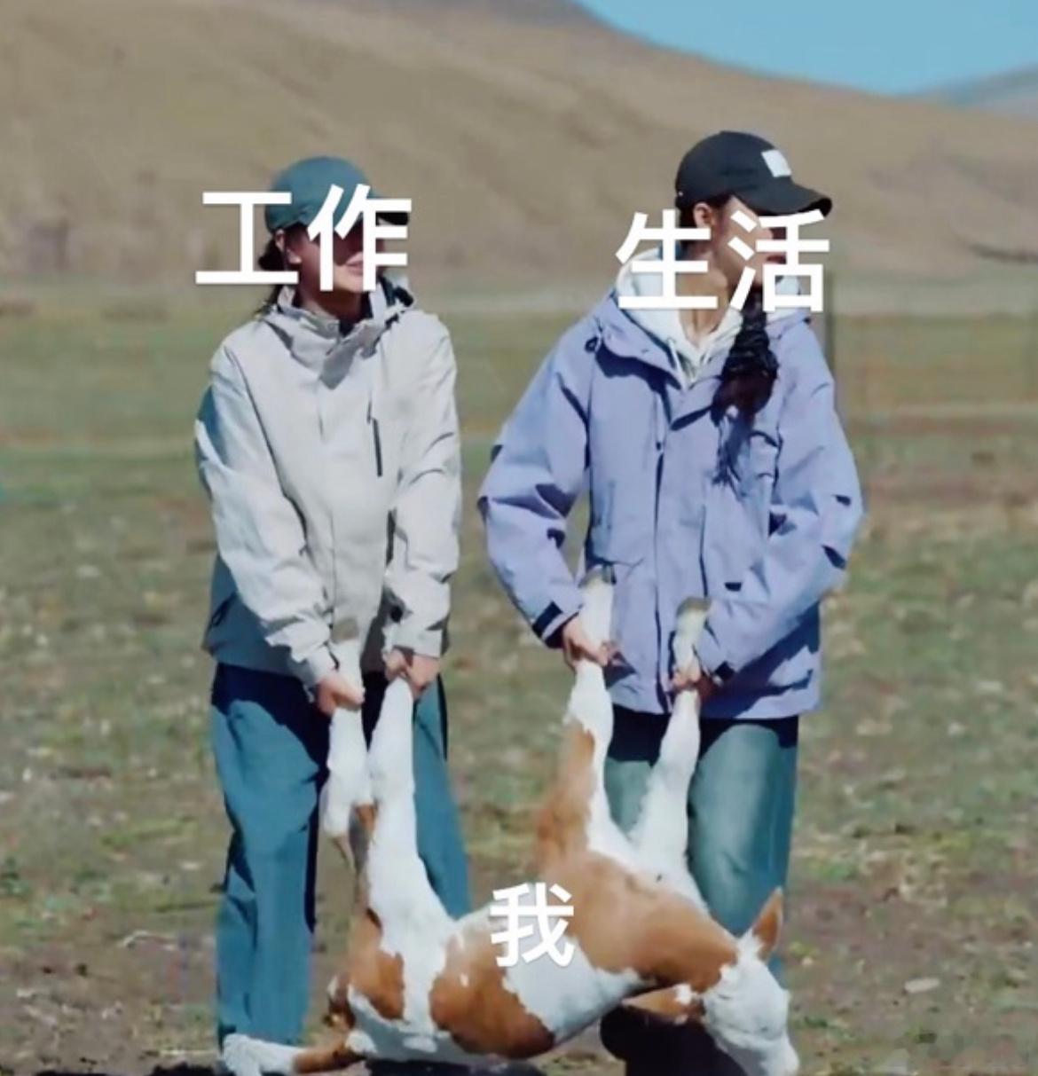 #给草原牛马做牛马是什么体验# 4个月前，有12个女生离开城市来到草原放牧！在草