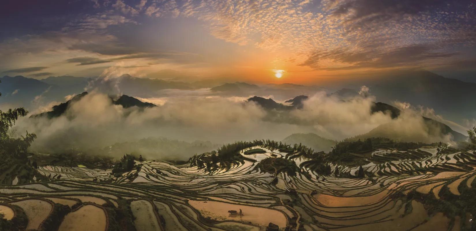  梯田的春夏秋冬，我都爱！#云和梯田跻身5a景区# ​​​