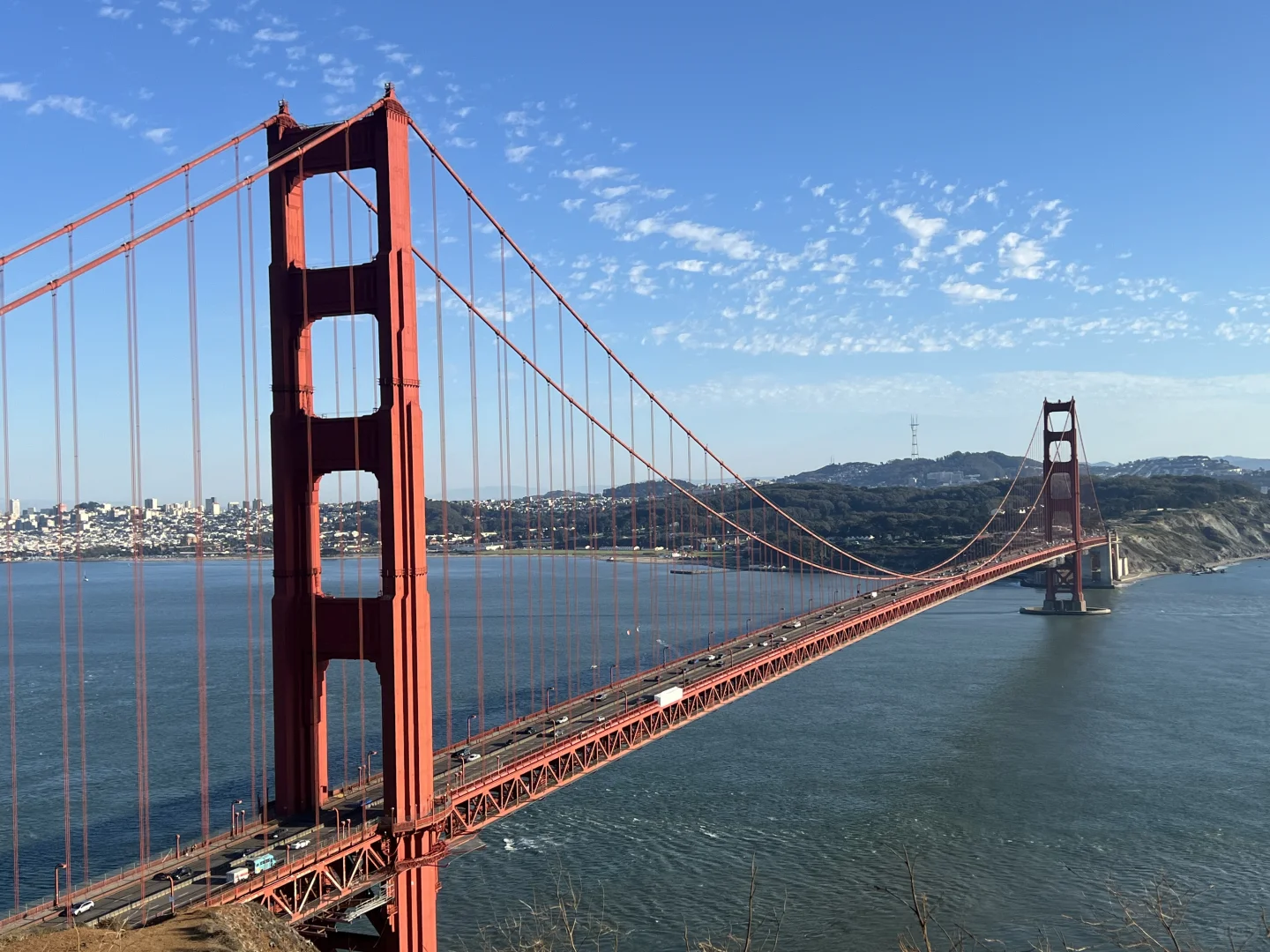 旧金山还是很美的｜Duck you