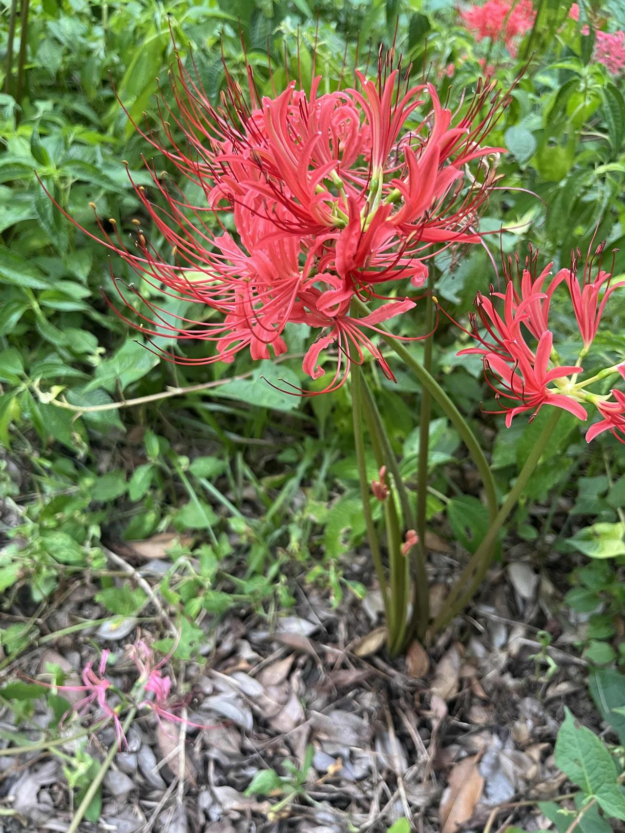 生气会有损健康吗我自己就是例子，一生气就不说话，现在身体出现了各种不适，医生让我