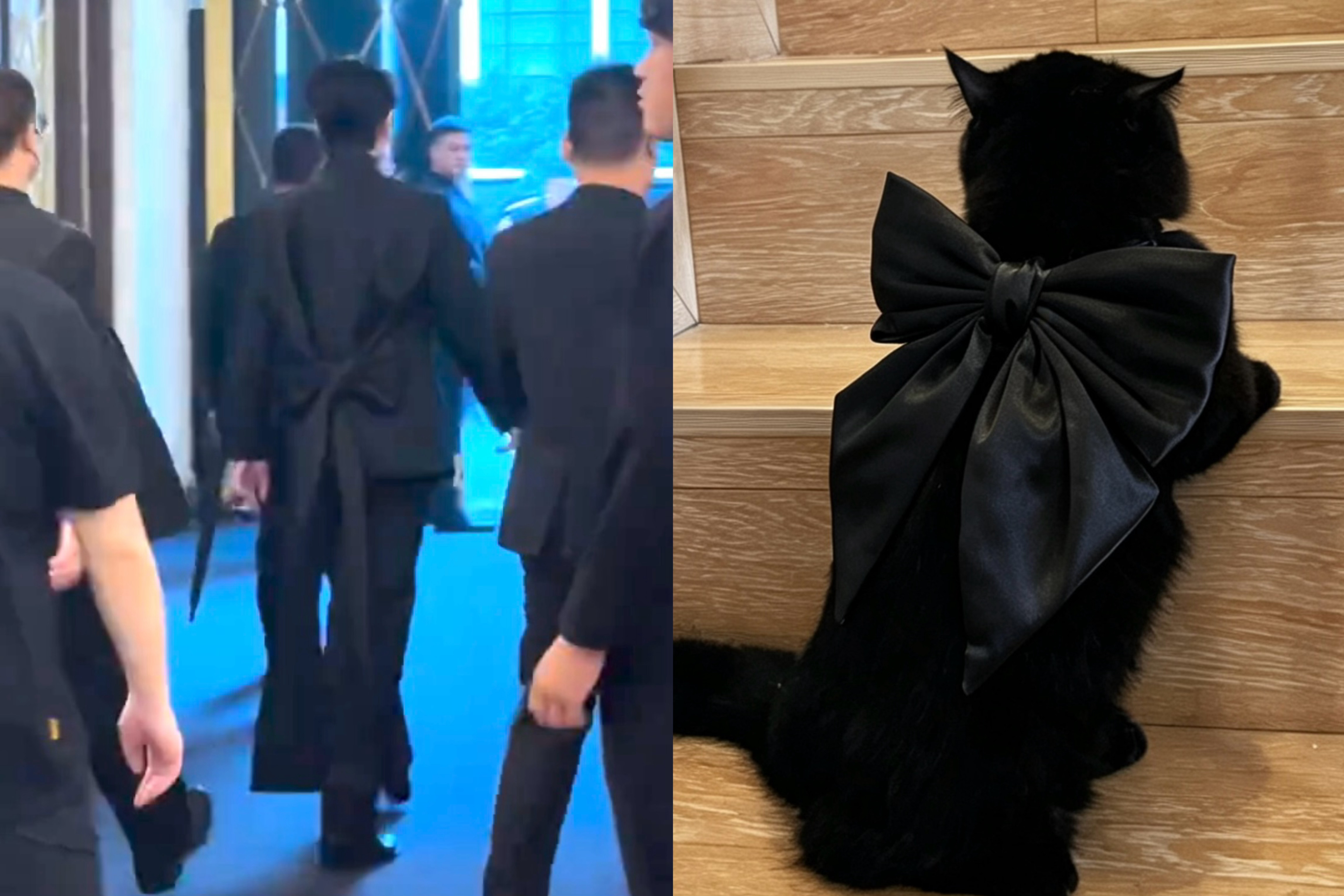 宝贝咪belike： 