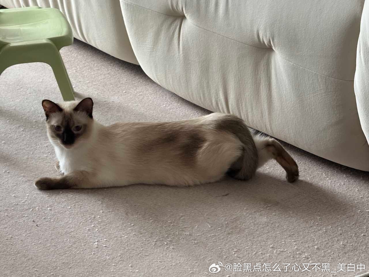 4062只黑脸想投稿：碧落最近摆的每一个雷霆pose都完全看不懂