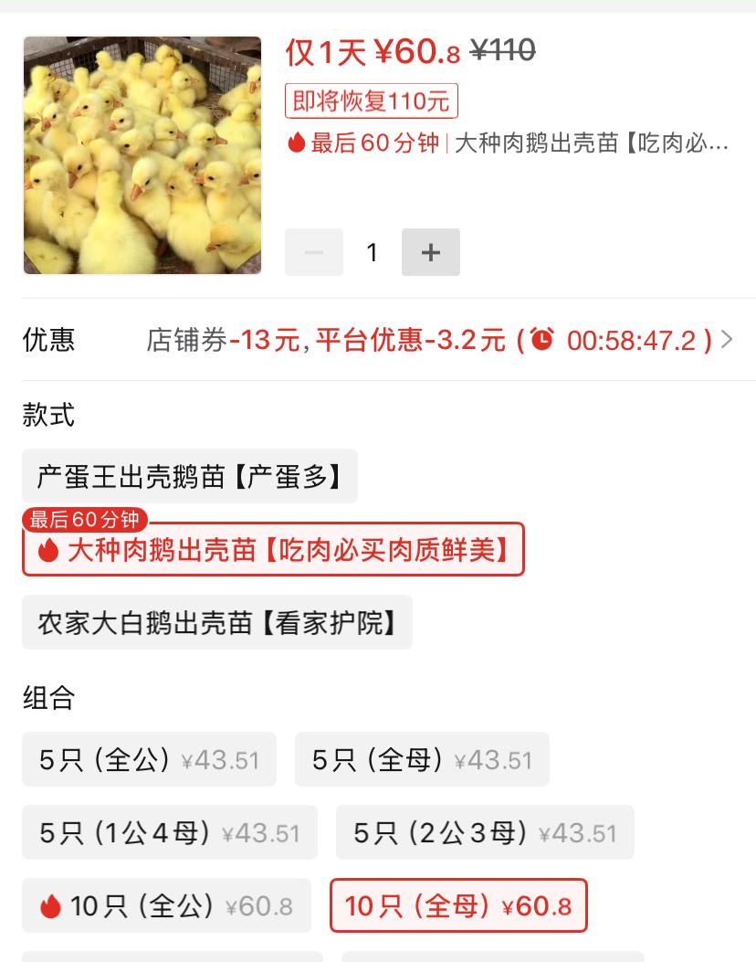 一只鹅苗大概6块钱，得吃多少钱的粮食能长大？据有关测算，大概二三十元就能养大。而