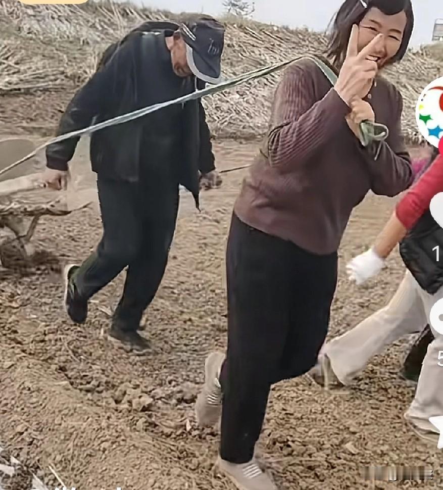 智能化时代，又穿越了吗？耩地的耬，一位老人在后面掌控，前面一位驾辕，边套三位女士