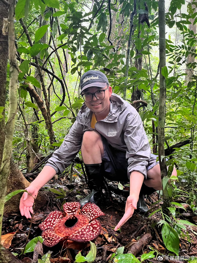 谁能忍住不合影呢 （一点不臭） 马来西亚·马来西亚萨巴岛