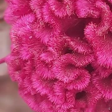 每日一善🌹阳光信用人的烦忧常随所愿而生，当获得之时，本是一件喜事，可今已习惯，