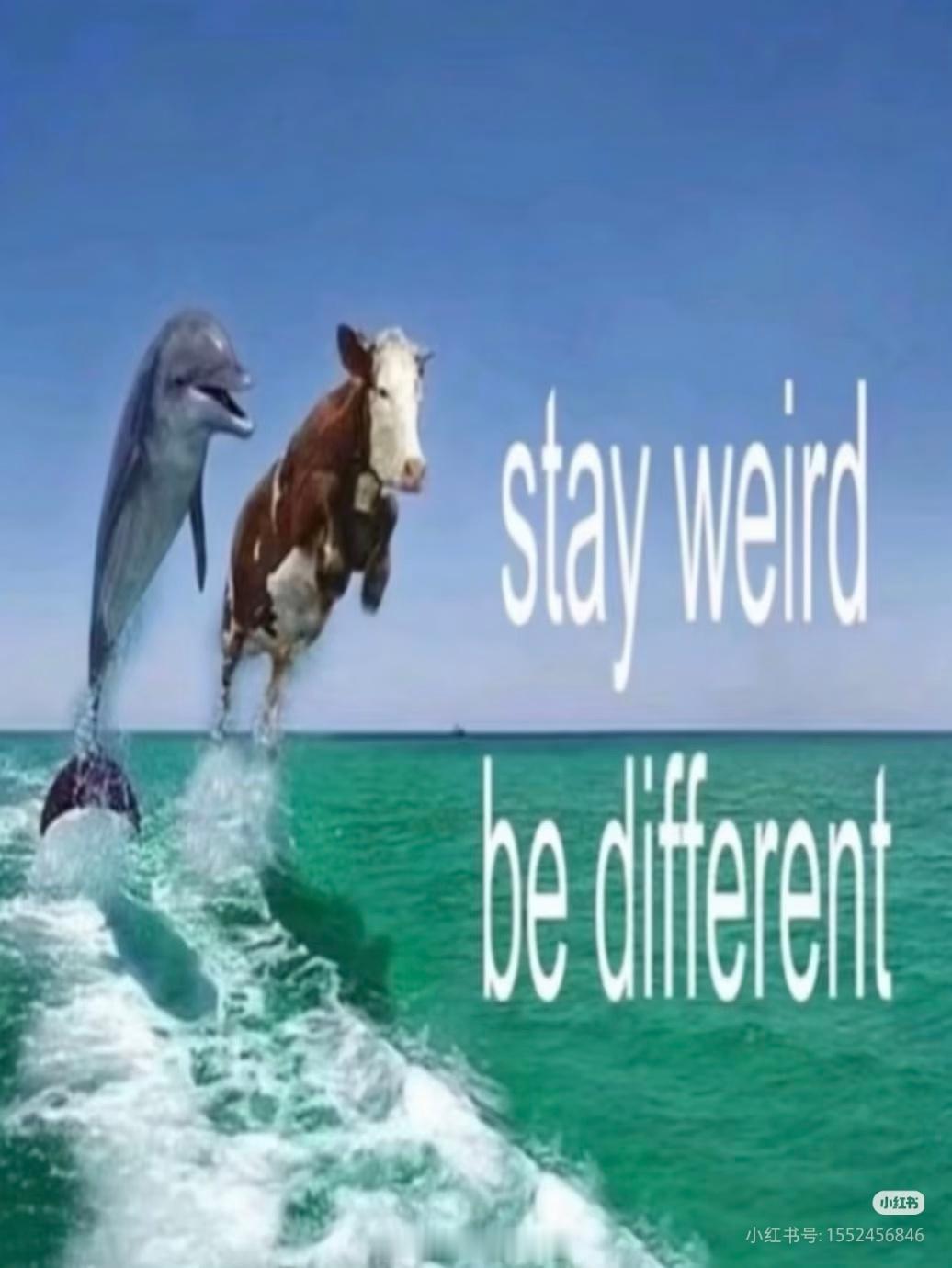 牛来 补贴🐂牛来全网唯一差评想要一个全是屏摄的评论区 