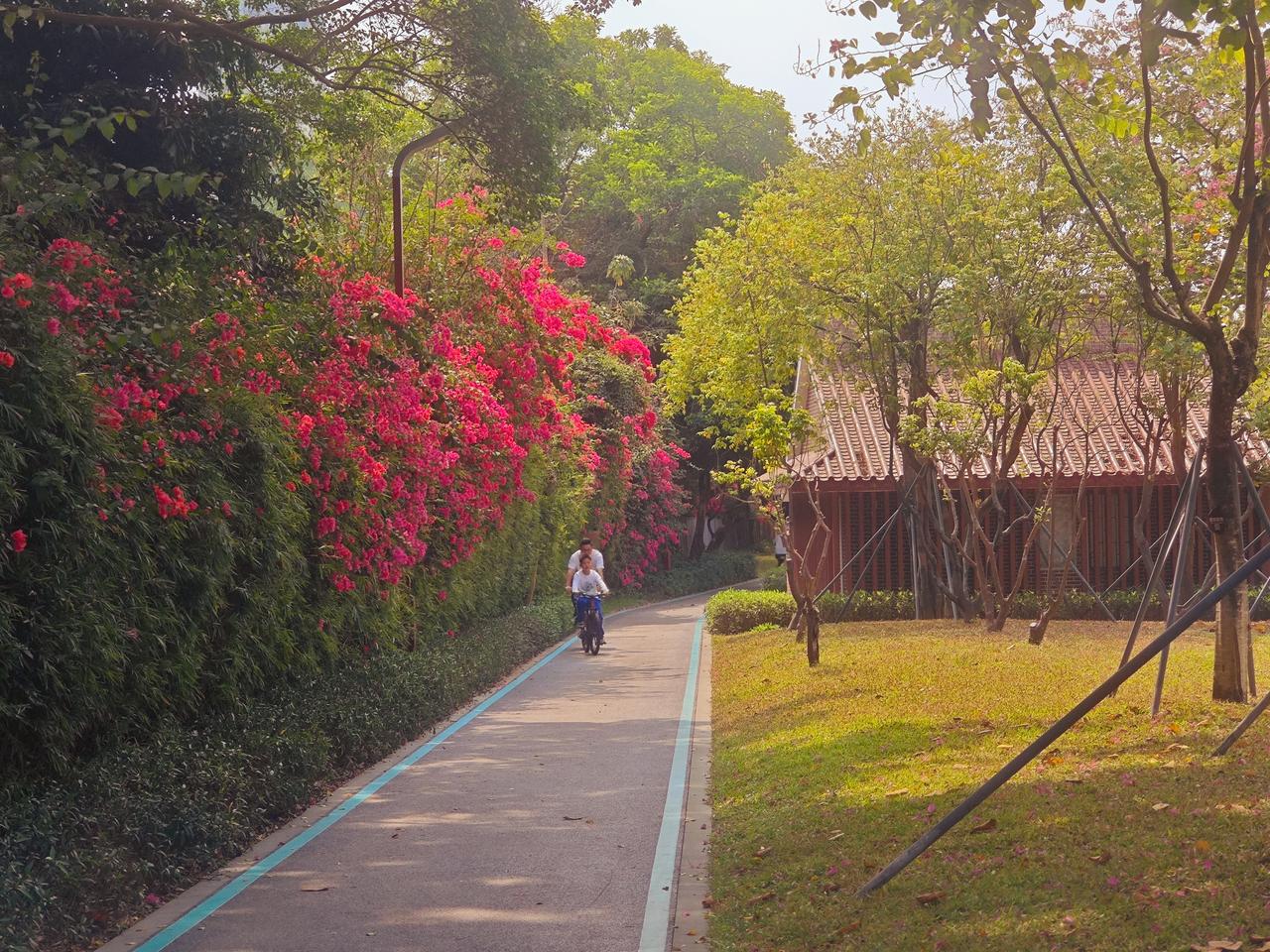 2026年3月27日 
AI圈重要新闻简报
一、国内重磅活动
1. 中关村论坛人