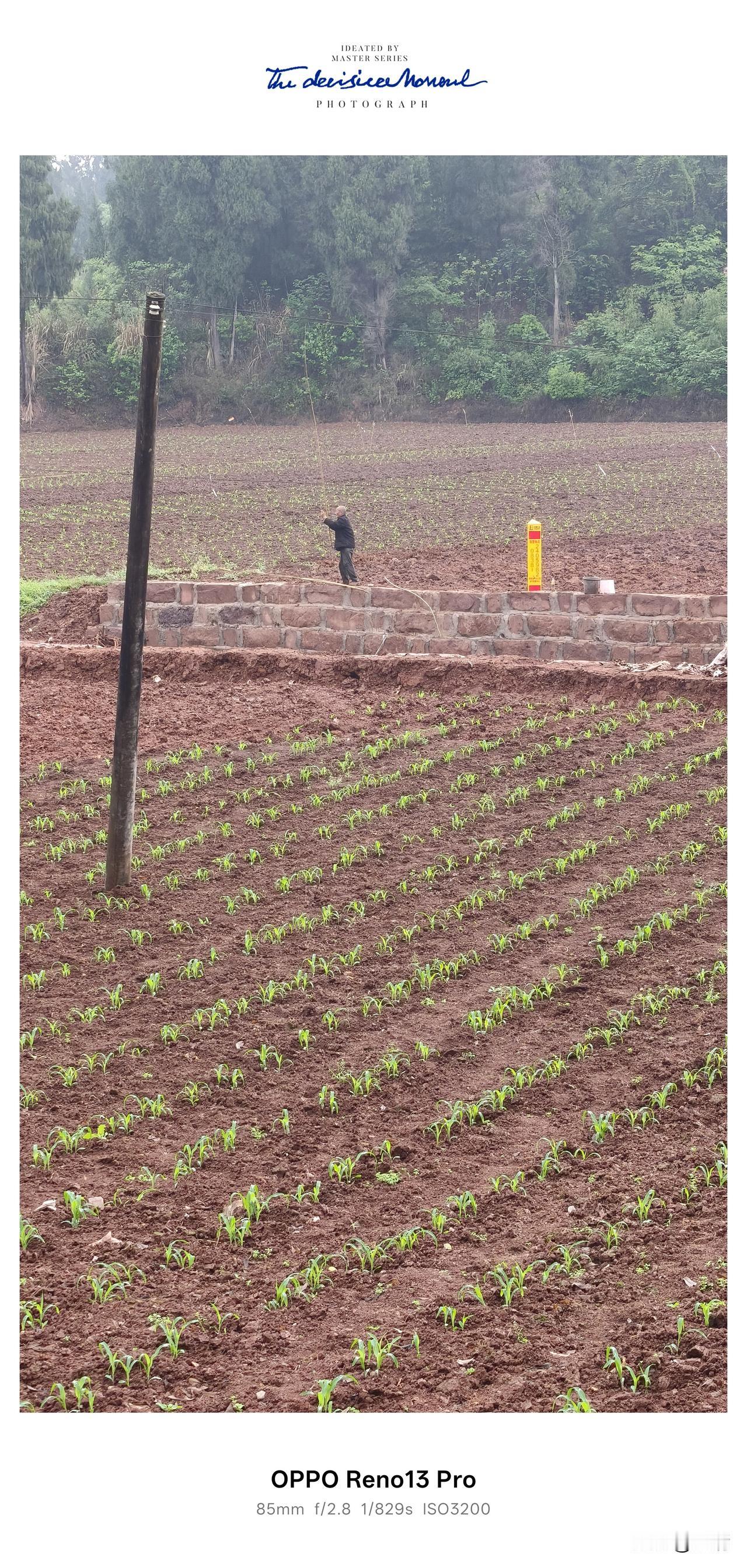 打卡晒图笔记大赛， 资阳八粮堰的红土地，藏着今年的好收成！[赞][赞][赞]
 