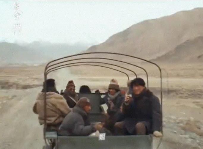 生命树拍出了人神共愤的一幕《生命树》里盗猎者的恶行太可恨！对藏羚羊痛下杀手不算，