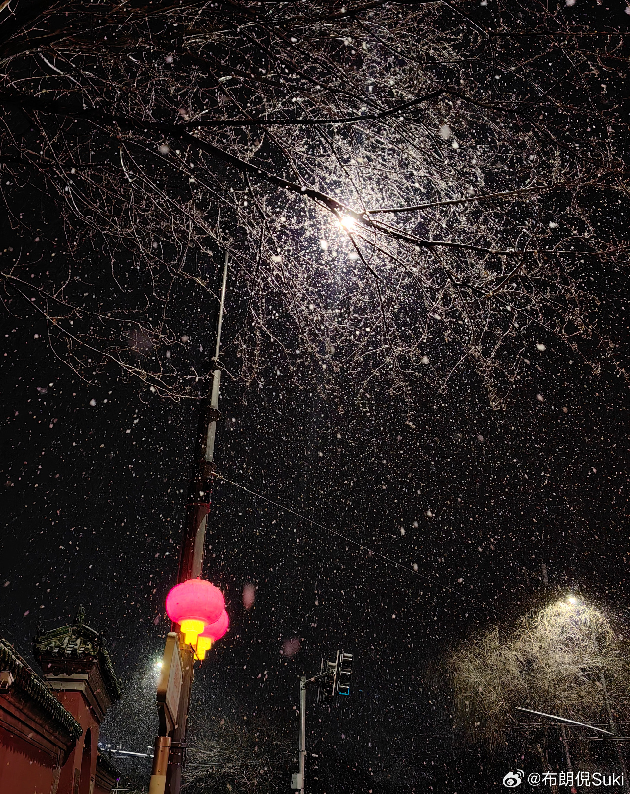 听说北京这一冬天的雪都没今儿的大？北京的雪真不小