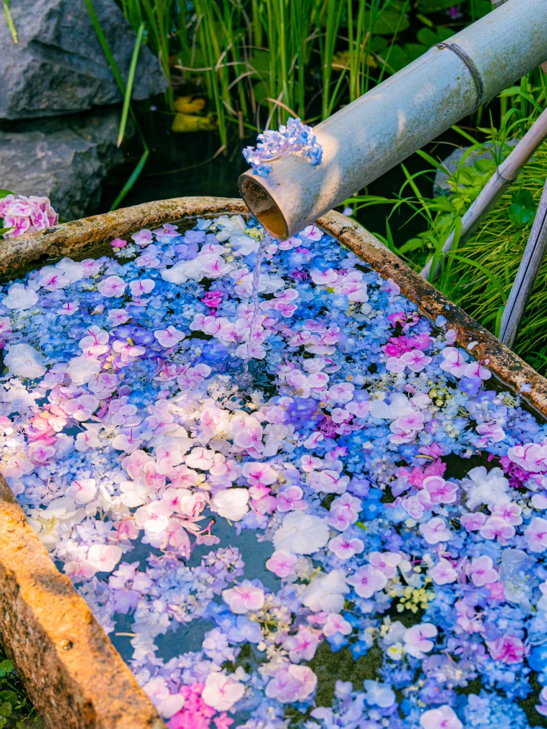 如果不亲自来次杭州❗️永远都不知道它有多美