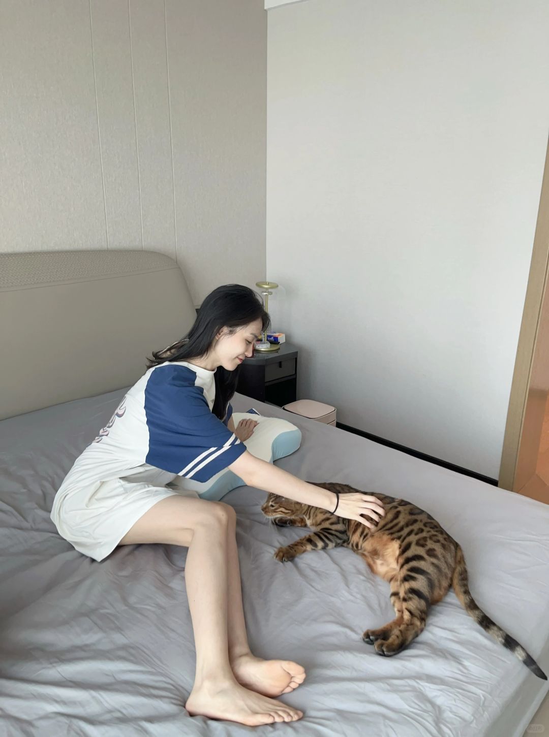 盛世美颜🐱