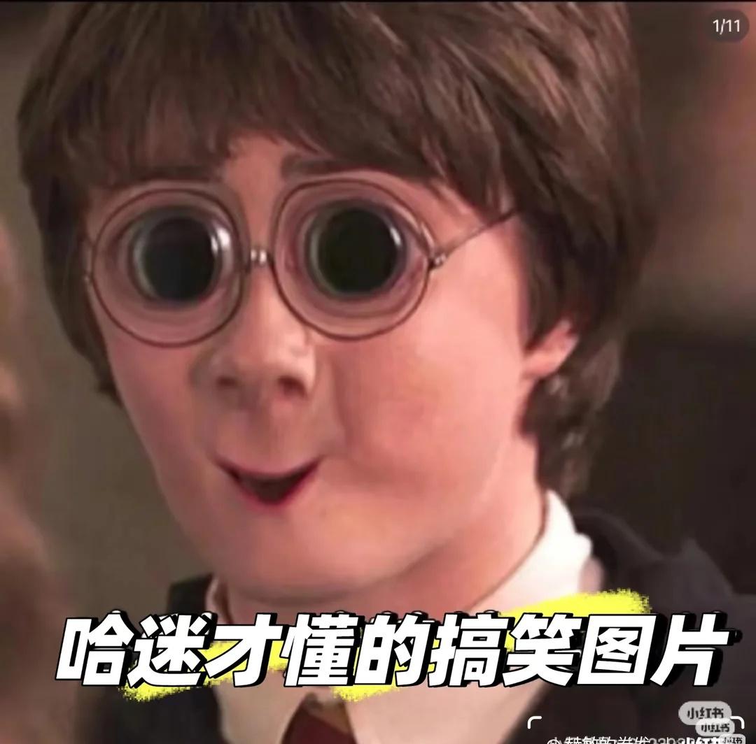 哈利波特搞笑图片，只有哈迷才能看得懂哈利波特 梗图 搞笑