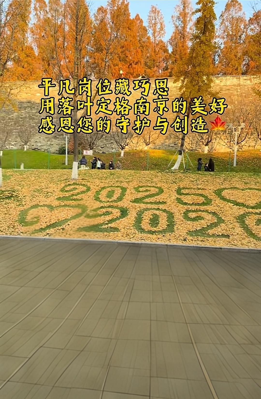 十二月的小美好＃南京 ＃玄武湖＃环
卫工人 ＃人间温暖 ＃银杏