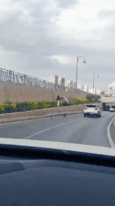 这个车的司机是真正的高手