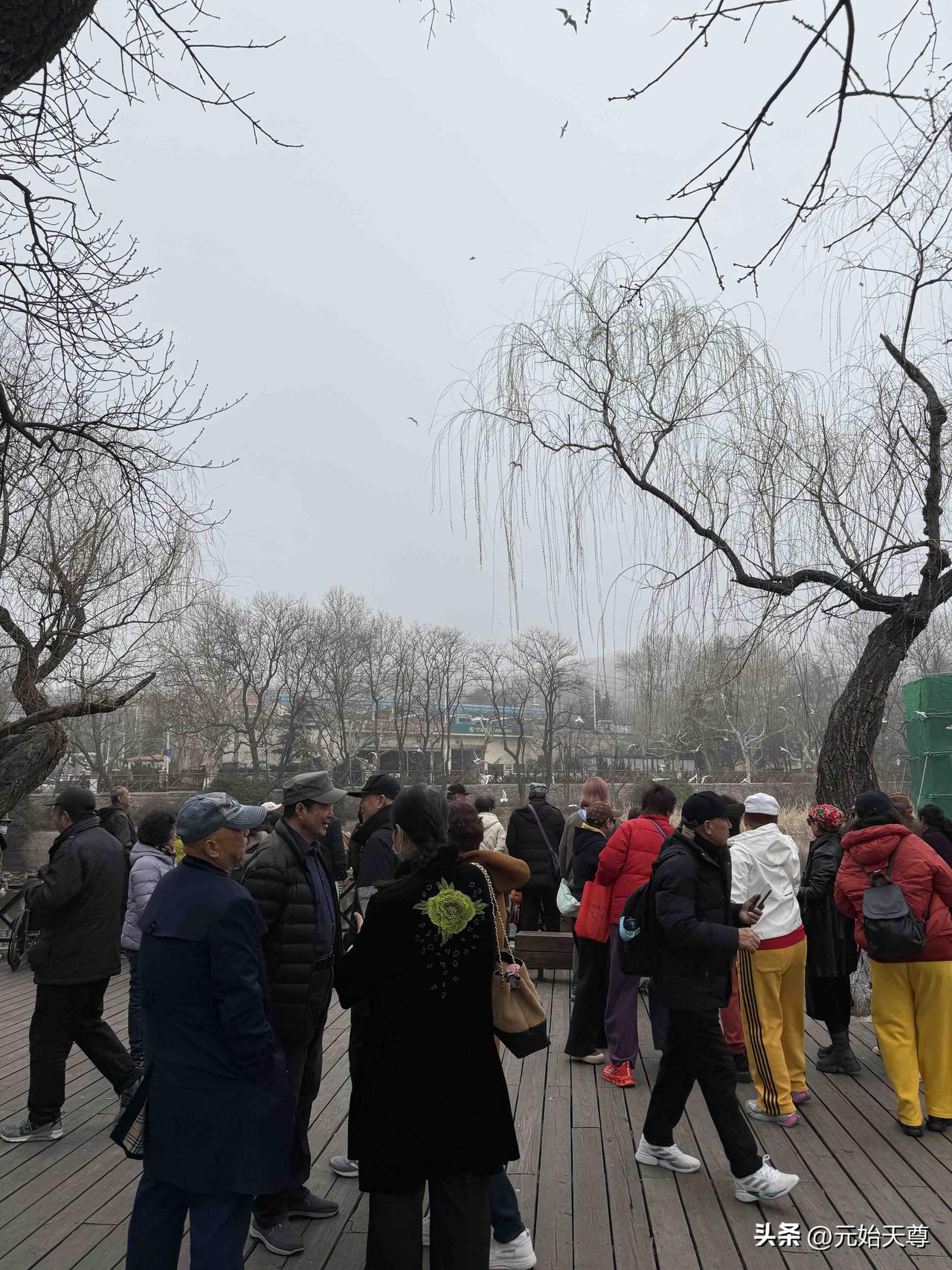 我昨天去青岛中山公园在车上就听到有人说湖心亭开始建了，晚上七点还挑灯夜干，我也去