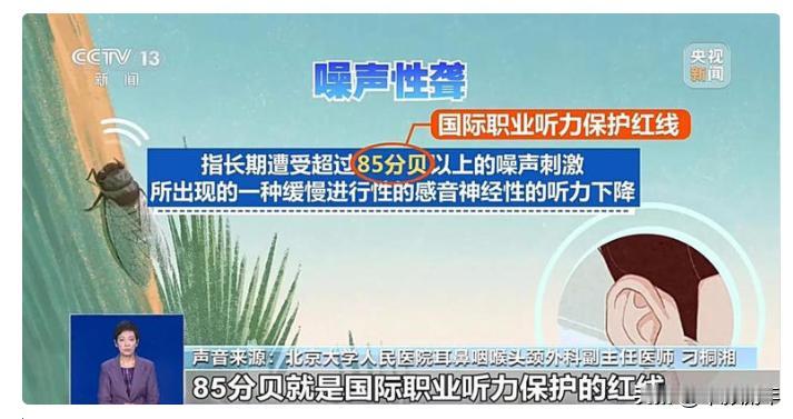 竹知了算什么[捂脸]，真知了才可怕！蝉鸣可以导致耳聋？
儿时的蝉鸣，如今成了听力
