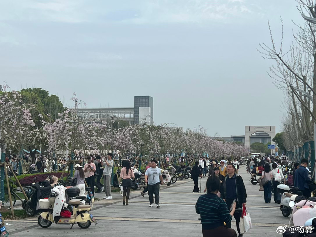 上海交大130周年校庆 全球校友返校日，来凑个热闹。 