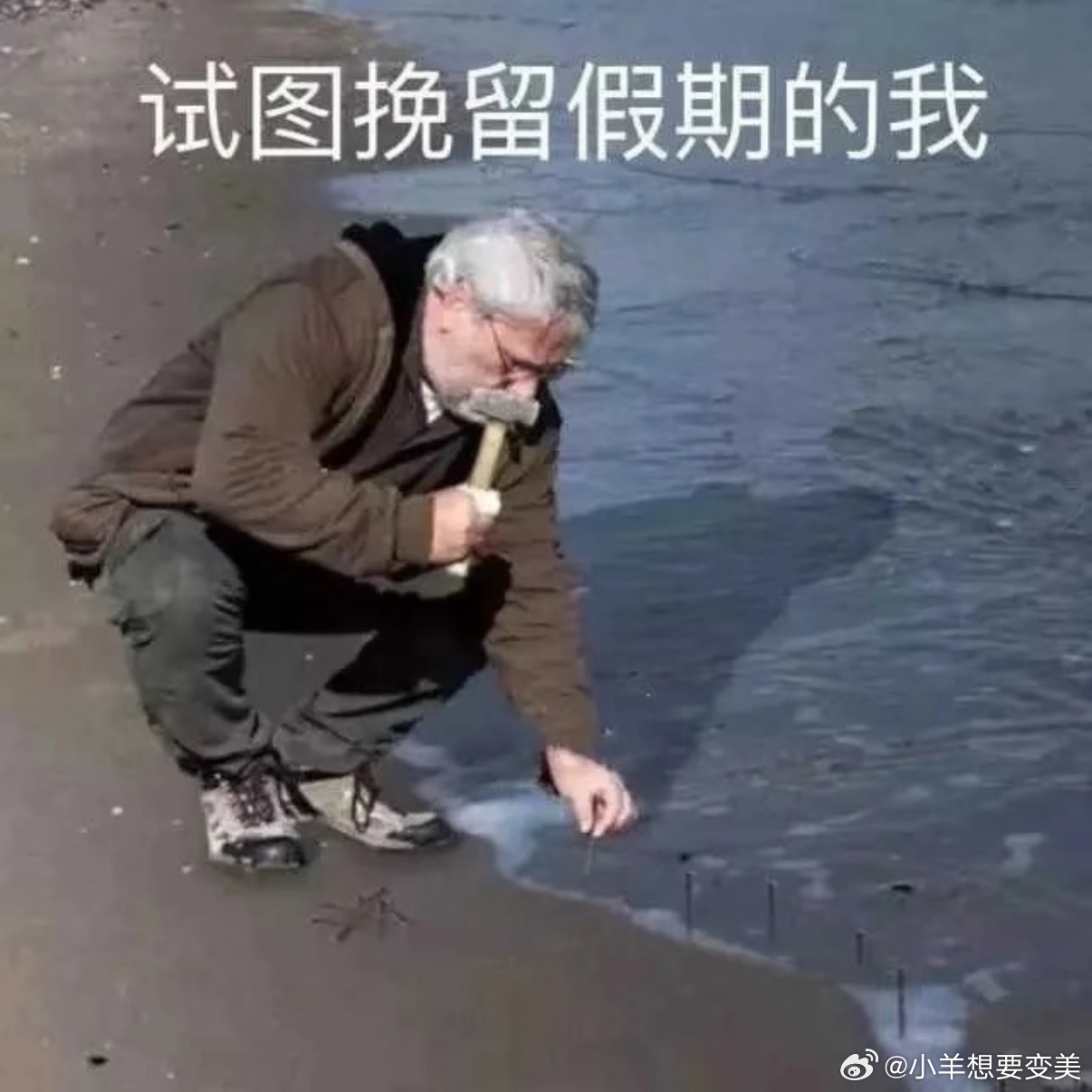 建议尽量不要调休建议春节假期延长为15天 不愧是专家 这波我先赞了 